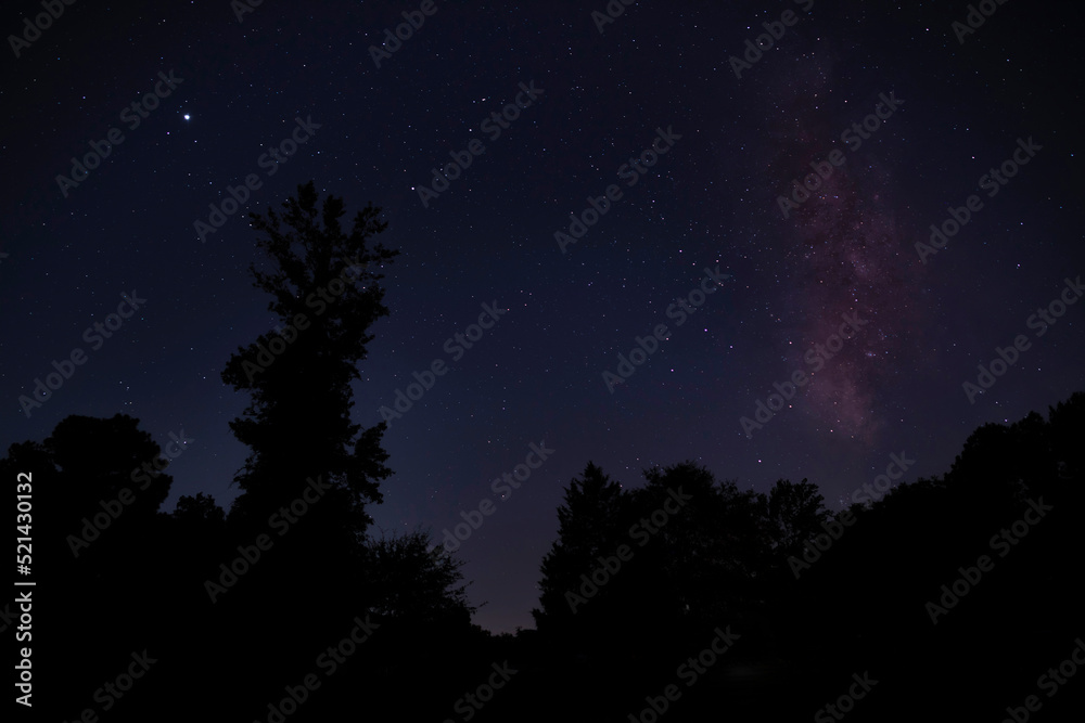 Milky Way and stars over a forest