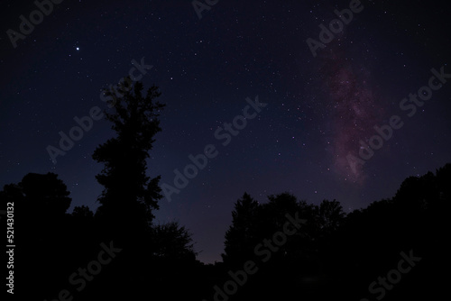 Milky Way and stars over a forest