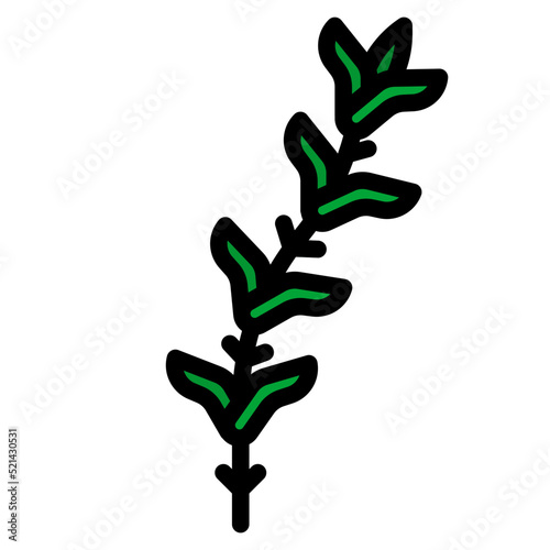 rosemary