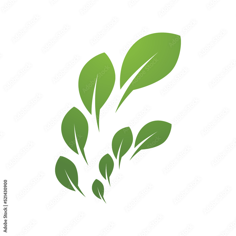 Green leaf illustration nature logo design Green leaf illustration nature logo design