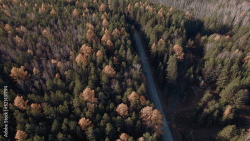 Curve asphalt road with cars between autumn forest in Ural © TravelFlow