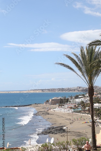 Palm leaves Tree Grand canaria poster print vaccation flyer  travel exotic sun, tropical