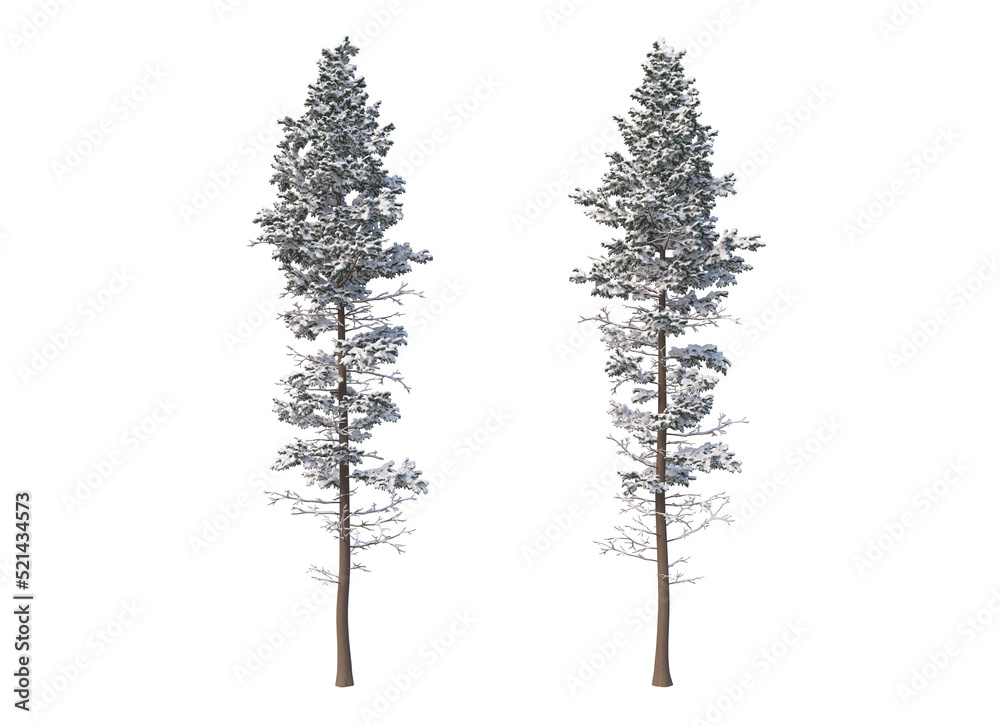custom made wallpaper toronto digital Trees and mountains in winter on a white background with clipping paths.