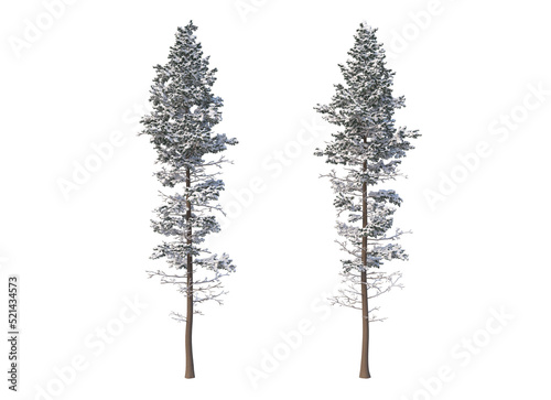 Wallpaper Mural  Trees and mountains in winter on a white background with clipping paths. Torontodigital.ca