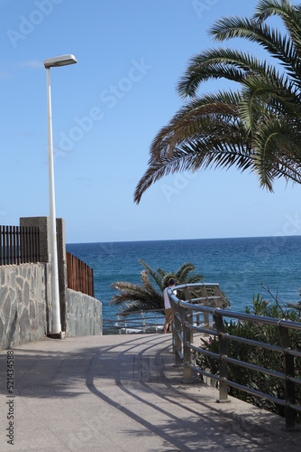 Palm leaves Tree Grand canaria poster print vaccation flyer  travel exotic sun, tropical