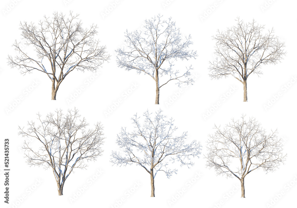 Trees and mountains in winter on a white background with clipping paths. Trees and mountains in winter on a white background with clipping paths.