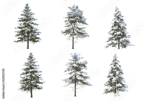 Trees and mountains in winter on a white background with clipping paths.