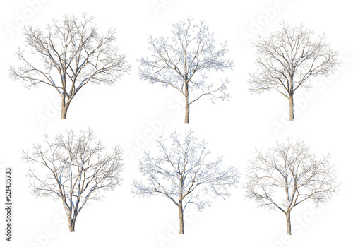 Trees and mountains in winter on a white background with clipping paths.