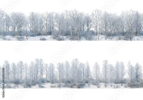 Wallpaper Mural Trees and mountains in winter on a white background with clipping paths. Torontodigital.ca