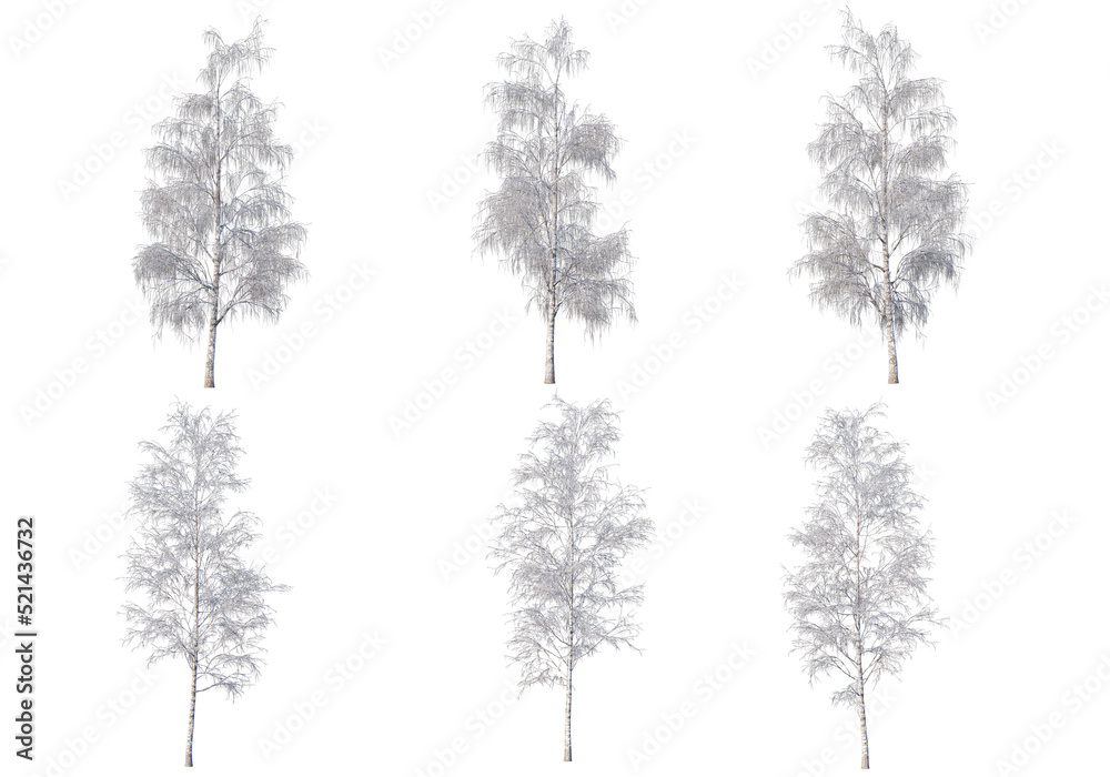 Fototapeta premium Trees and mountains in winter on a white background with clipping paths.
