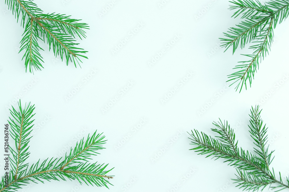 Christmas tree branches on  white background. Place for text.