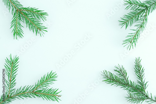 Christmas tree branches on white background. Place for text.