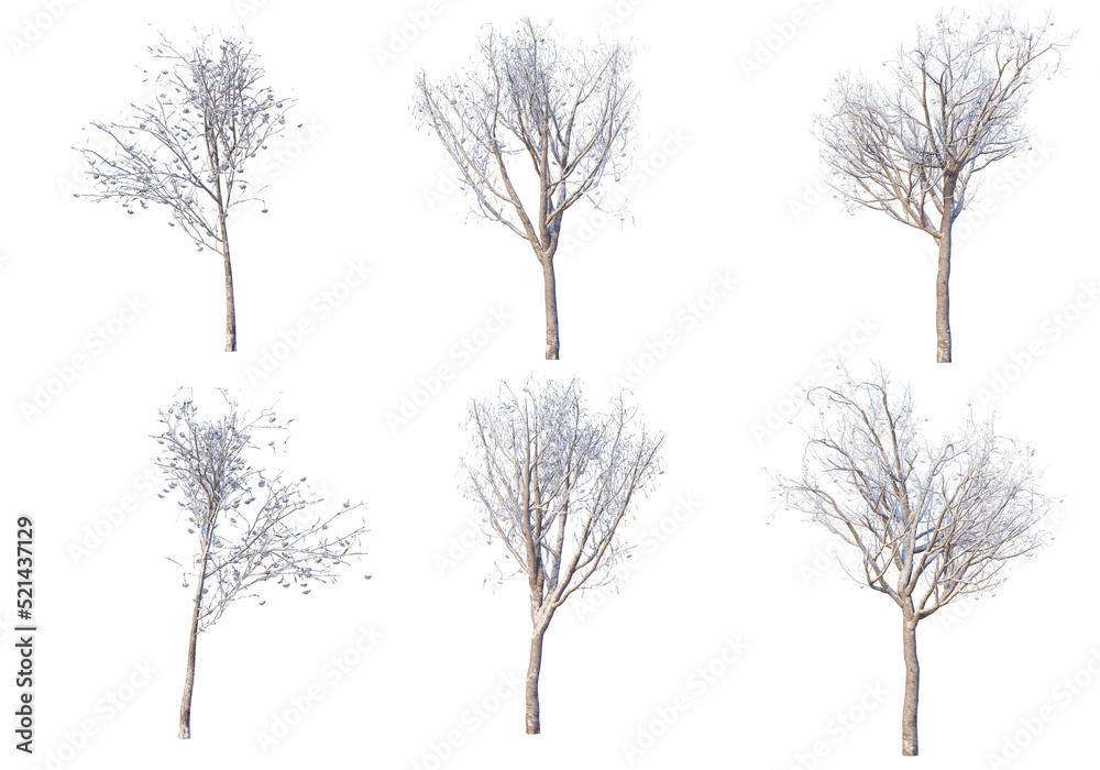 Fototapeta premium Trees and mountains in winter on a white background with clipping paths.