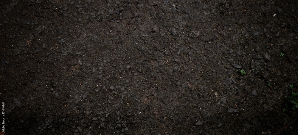 Grunge wall texture background, creepy dark old wall Grunge wall texture background, creepy dark old wall