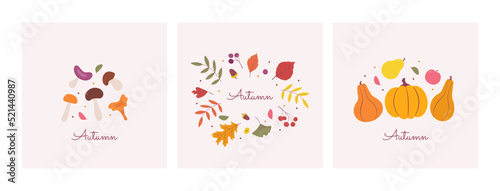 Greeting card of autumn mood. A set of minimalistic posters with leaves of nature, mushrooms, pumpkins, berries. Autumn banner. Vector illustration in a flat cartoon style