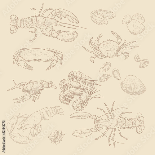 Vector vintage sketch seafood, hand drawn seafood delicacy, restaurant and marine cuisine cafe menu, packaging design.