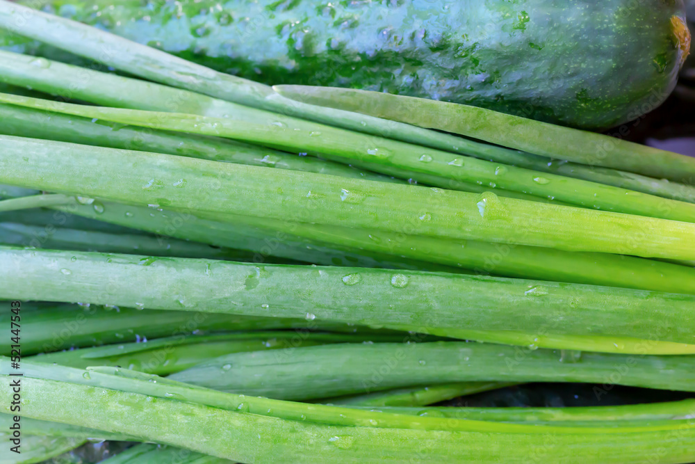 Fresh green onion and cucumber Fresh green onion and cucumber