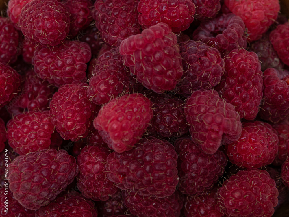 Ripe raspberries. Berries. A handful of raspberries. Scarlet. Raspberry field. Ripe raspberries. Berries. A handful of raspberries. Scarlet. Raspberry field.