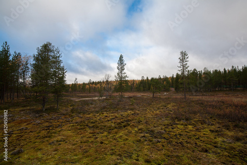 Autumn Landscape in Sami Village, Murmansk, Russia