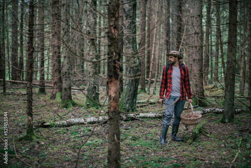 A young male mushroom picker with a large basket looks for, collects mushrooms in the forest.