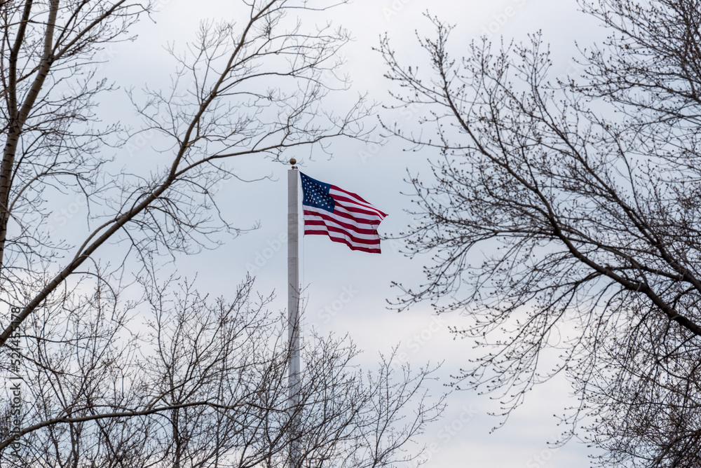 American Flag Flying Through The Trees