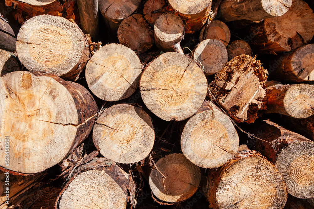 Pile of chopped wood tree, wooden background with lumber elements Pile of chopped wood tree, wooden background with lumber elements