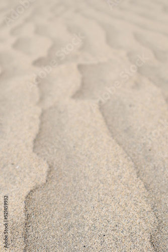 Sand dunes closeup poster print desert trees 