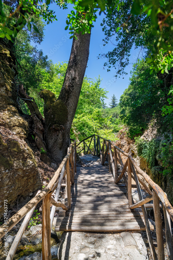 Walking trail in The Valley of Butterflies. The Petaloudes valley nature reserve in Rhodes, Greece, Europe. Walking trail in The Valley of Butterflies. The Petaloudes valley nature reserve in Rhodes, Greece, Europe.