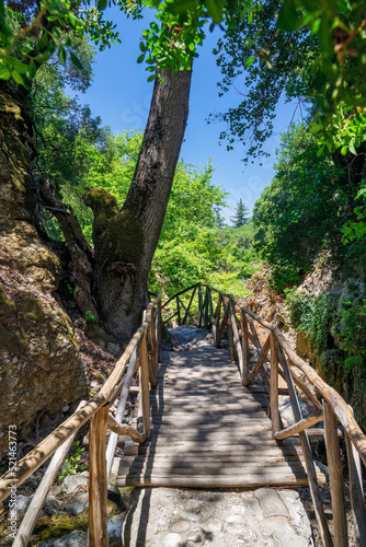 Walking trail in The Valley of Butterflies. The Petaloudes valley nature reserve in Rhodes, Greece, Europe. photo