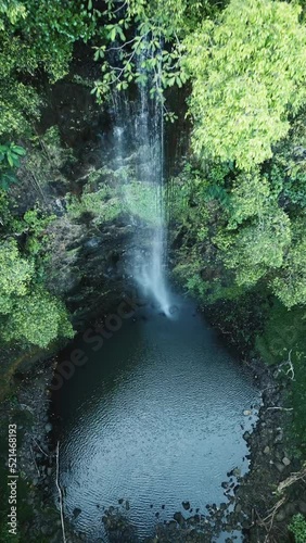 Raging waterfalls surrounded by trees on a sunny day photo