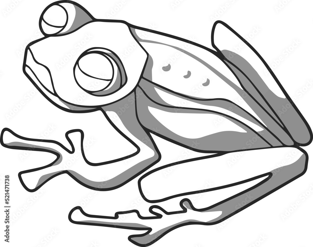 Glass frog in shades of gray vector drawing made by hand in one line