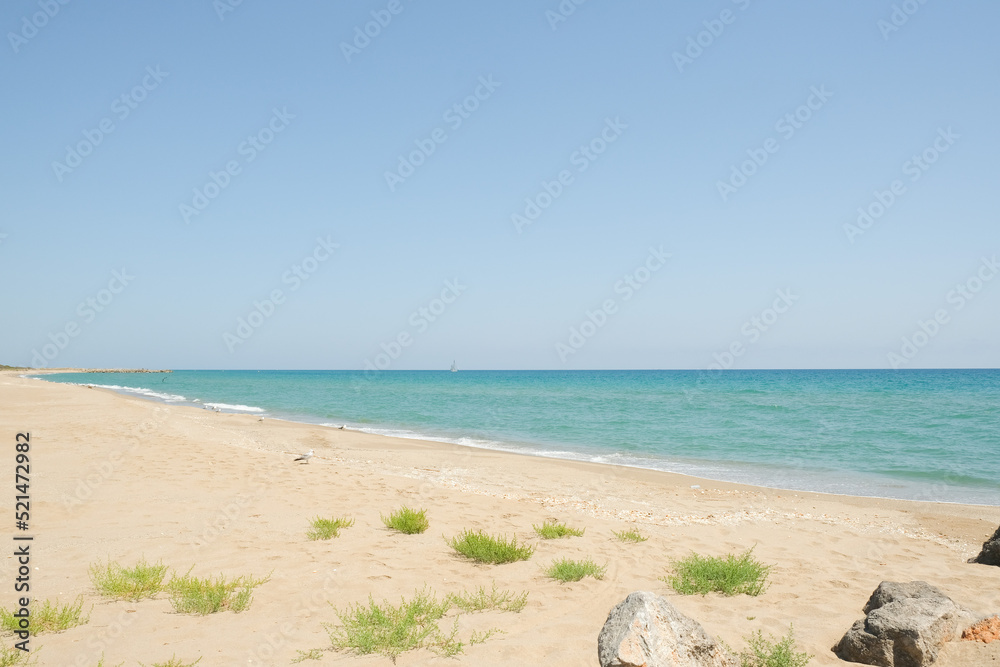 Sandy beach of the sea on a sunny day. High quality photo