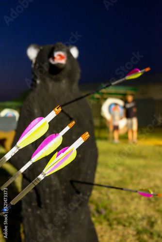 A set of arrows and 3d bear target on archery on field, night closeup