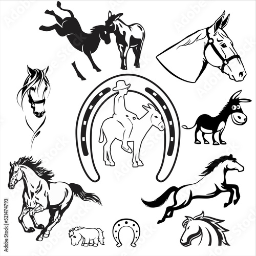 set of horses and mules