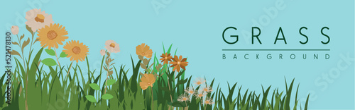 Tableau sur toile Spring garden grass and flowers border