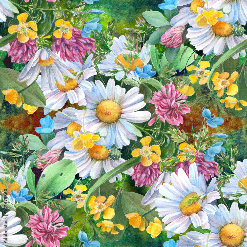 Seamless pattern. Wild flowers and herbs, chamomile flowers - a decorative composition. Watercolor illustration. Decorative composition. Use printed materials, signs, objects, sites, maps.