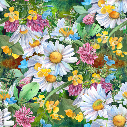 Seamless pattern. Wild flowers and herbs  chamomile flowers - a decorative composition. Watercolor illustration. Decorative composition. Use printed materials  signs  objects  sites  maps.