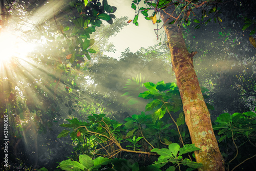Jungle vibes in Ubud, Bali 2019.