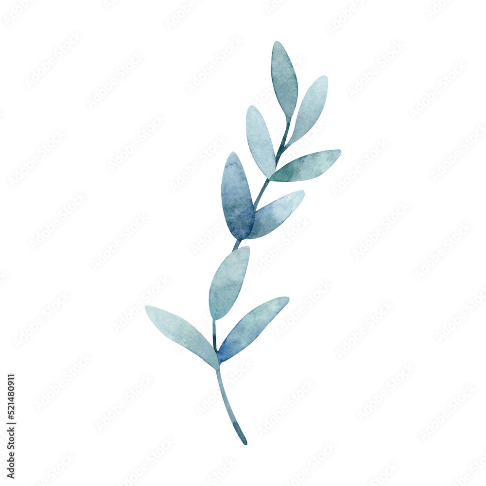 Obraz premium Watercolor blue branch clipart on white background. Hand drawn herb illustration.