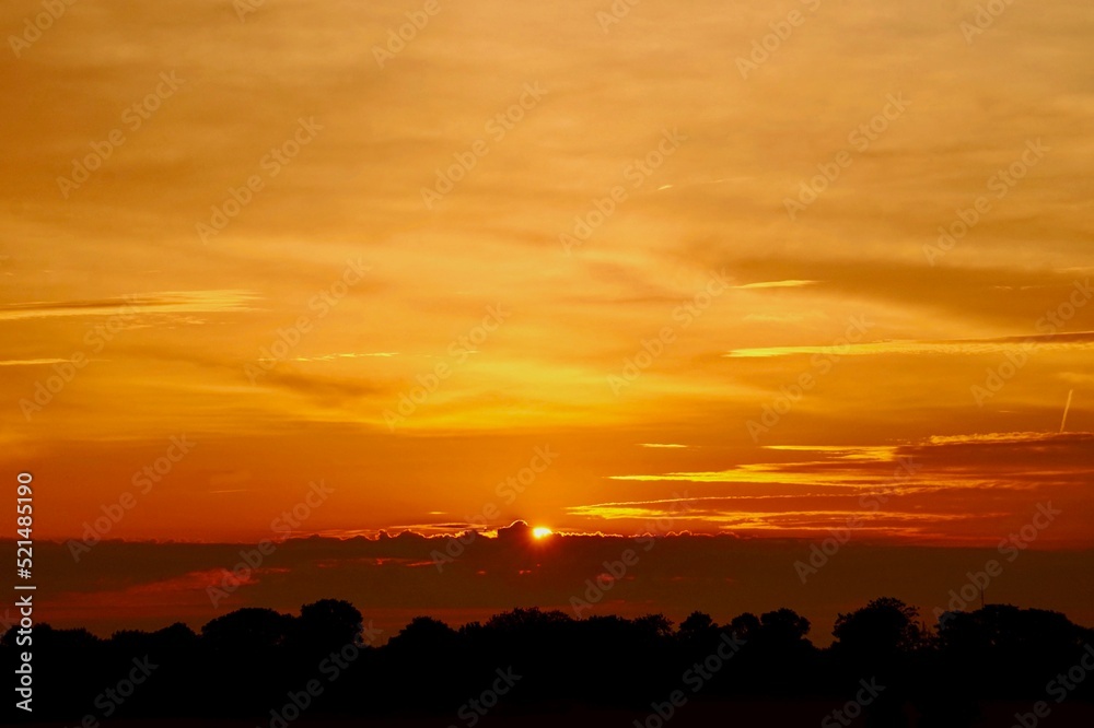 Sonnenaufgang sunrise am Horizont über Feld und Wald Himmel gelb orange rot gefärbt Sonnenaufgang sunrise am Horizont über Feld und Wald Himmel gelb orange rot gefärbt