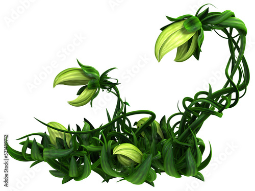 Plant Vines Bite, Patch Growth