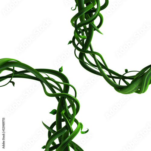Plant Vines Green, Thick Corner