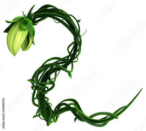 Plant Vines Snake