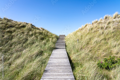 Wooden boardwalk along the dunes