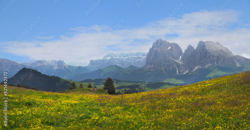 Panorama of the Dolomites in the Springtime with Wild Flowers and Misty Clouds