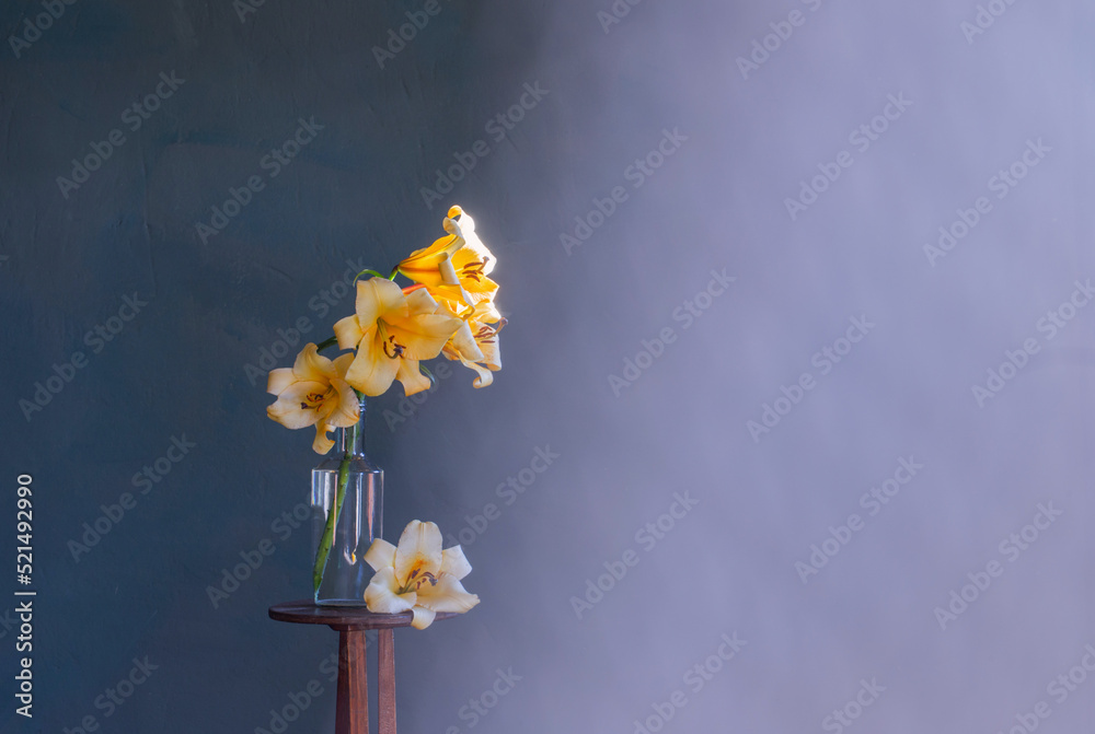 yellow lilly on dark blue background - obrazy, fototapety, plakaty 