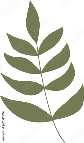 Simple autumn leaf in green color. Autumn design element. Vector illustration
