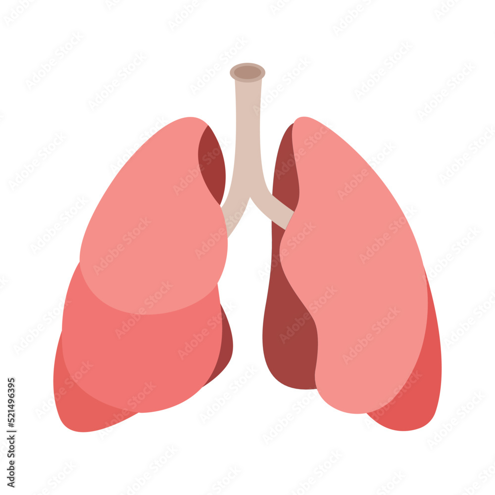 Lungs emoji vector illustration organ breathing Lungs emoji vector illustration organ breathing