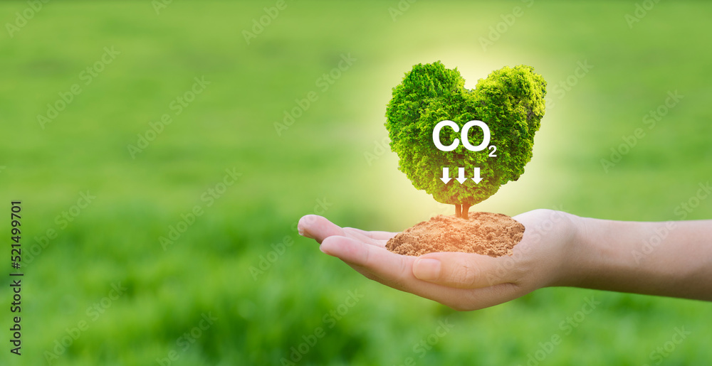 Reduce CO2 emission.Clean and friendly environment without carbon dioxide emissions. hand holding tree on blur green nature background. concept eco earth day