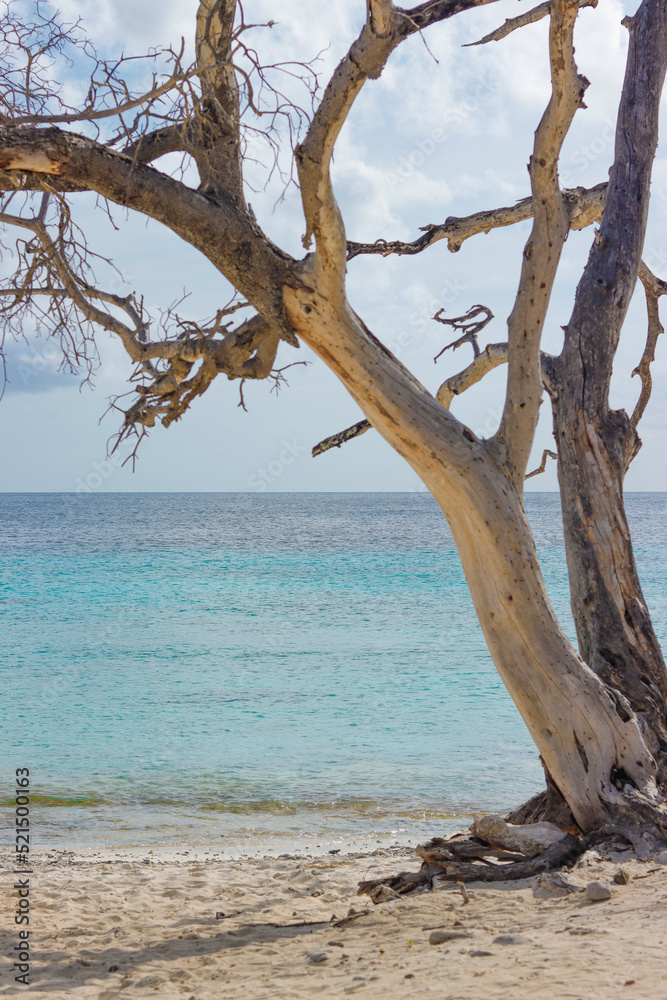 Cas Abao Beach in Curacao